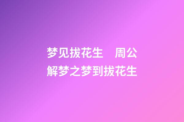 梦见拔花生　周公解梦之梦到拔花生